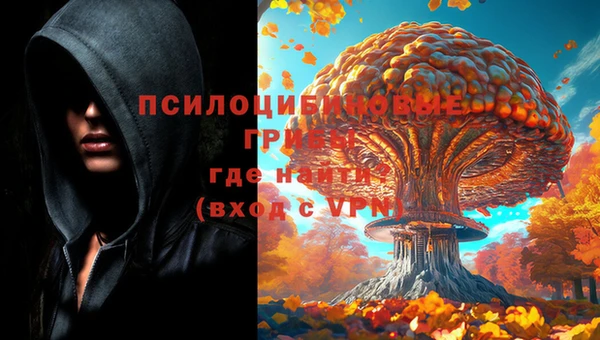 кокс Армянск