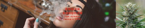 молекула духа Аркадак
