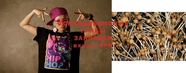 кокс Армянск
