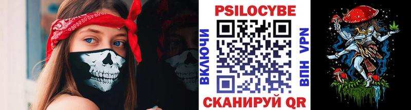 Псилоцибиновые грибы Cubensis  как найти наркотики  Буинск 